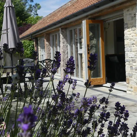 Pear Tree Cottages Wedmore Room photo