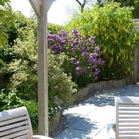 Pear Tree Cottages Wedmore Exterior photo
